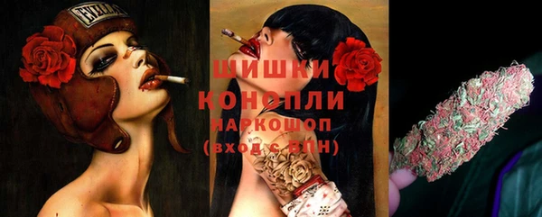 соль ск Лагань