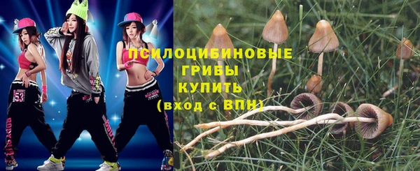 не бодяженный Ладушкин