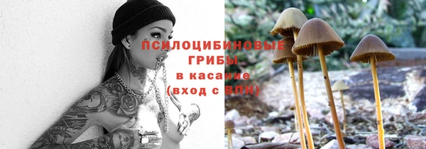 не бодяженный Ладушкин