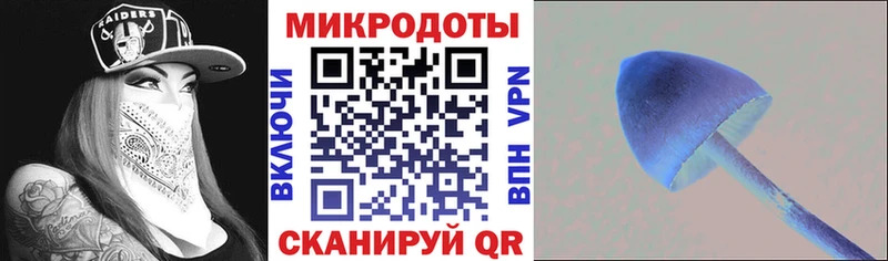 Купить где  Голицыно  Псилоцибиновые грибы Psilocybe 